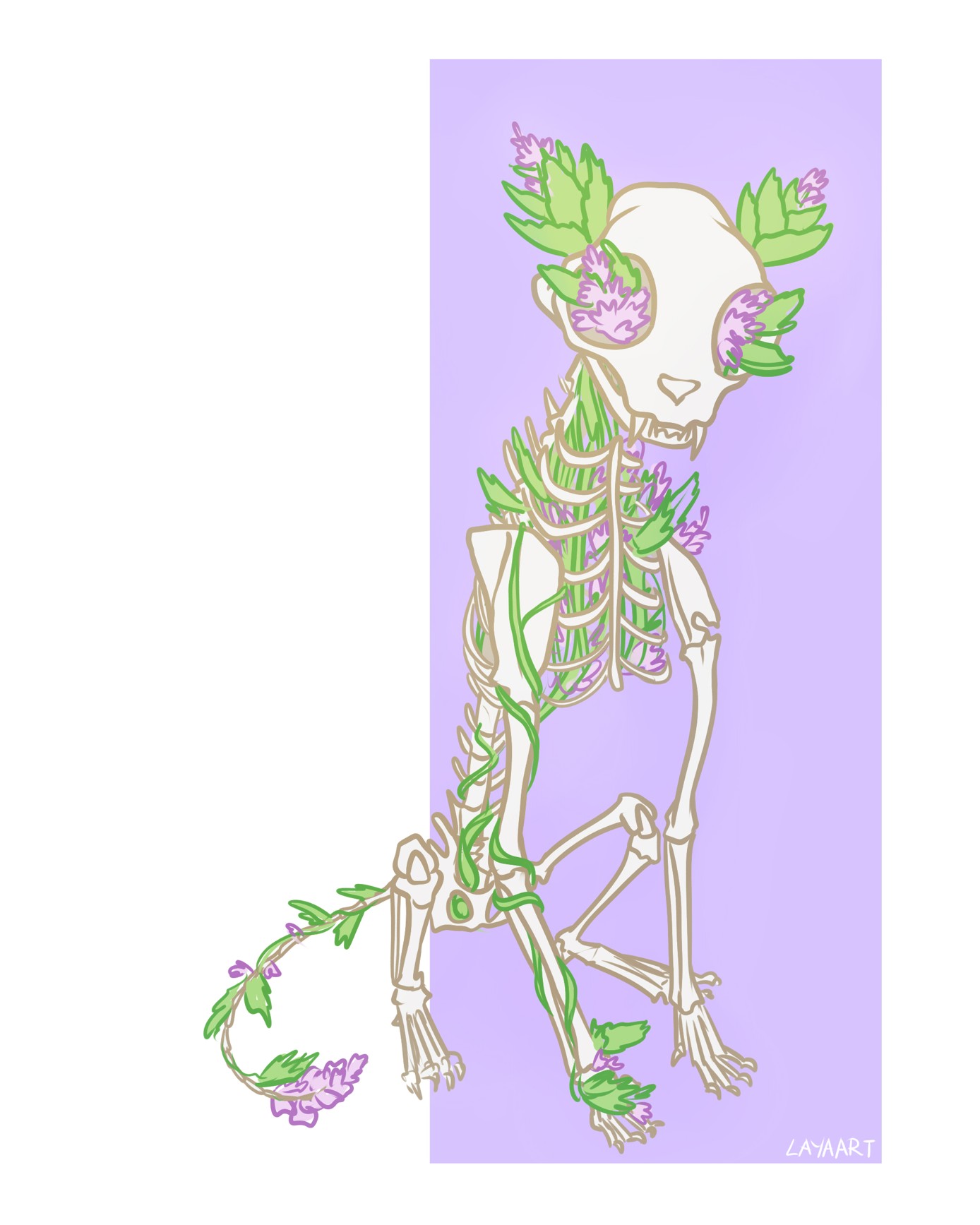 Skeleton-plants