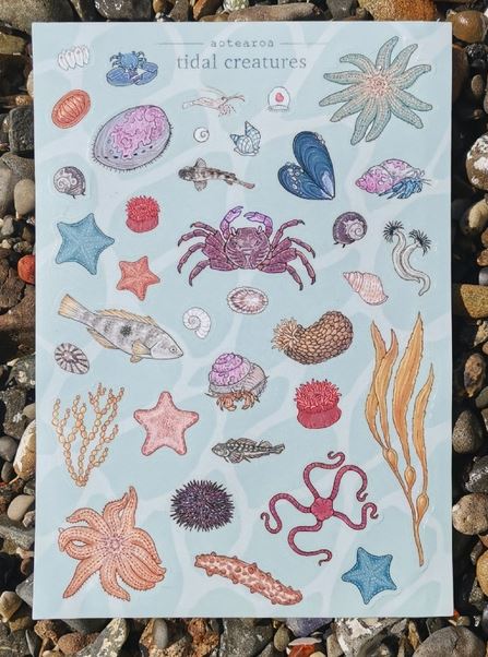 Tidal Creatures Tidal Creatures