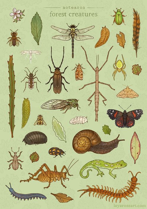 Forest creatures Forest creatures
