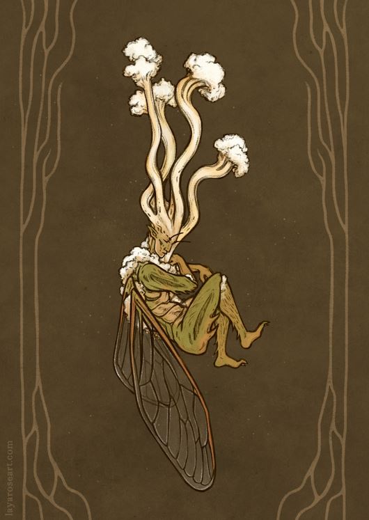 cordyceps faery