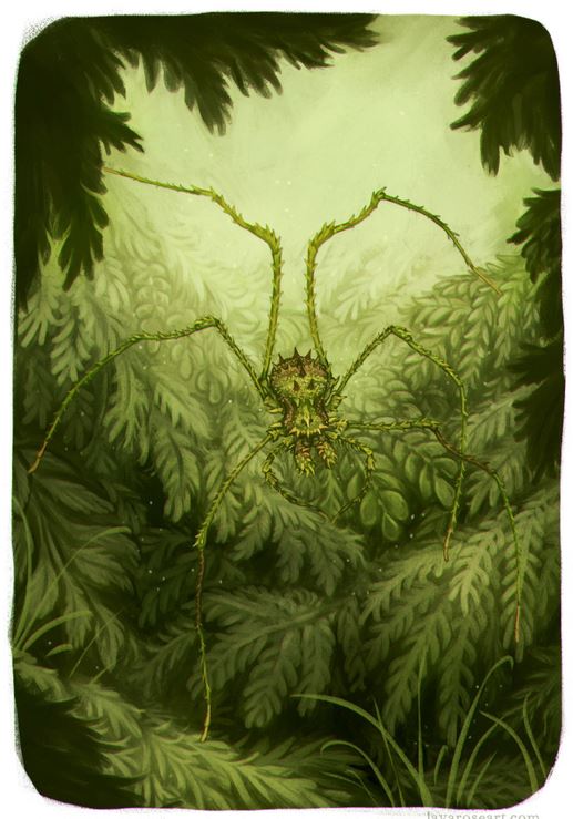 Moss Harvestman